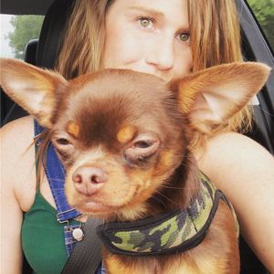 Meet your Posher, Dustyn